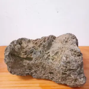 plantepro yosei stone