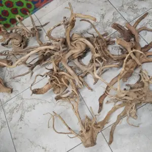 raiz ornam.straight tora reta de 30-60 cm