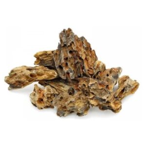 rocha 017 dragon stone 10-20cm