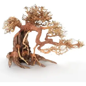 Plantpro wave bonsai dm