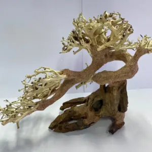 plantepro claw bonsai hxs