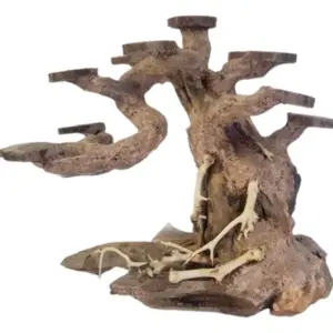 plnatepro base bonsai css