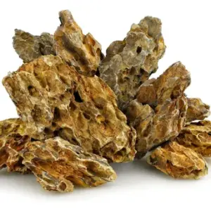 rocha 017 dragon stone 20-30cm