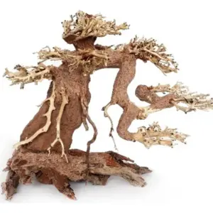 Plantpro premium bonsai m