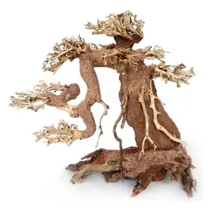 plantepro premium bonsai m