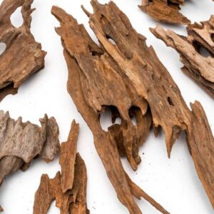 plantepro  dragon wood