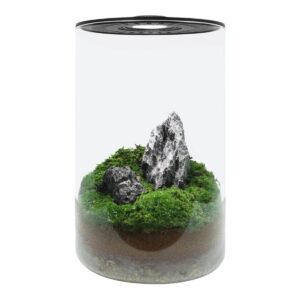 mini terrario de vidro cluminaria 20 x34 cm -cil