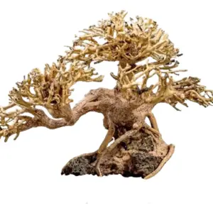 plantepro branch bonsai 19ss