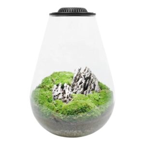 mini terrario de vidro cluminaria 20 x26cm gota