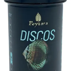 disco black line 35 g