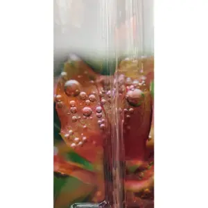 Ista difusor de c02 vidro curvo s24mm if 591