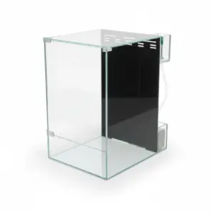 paludario viv plant display aquarium