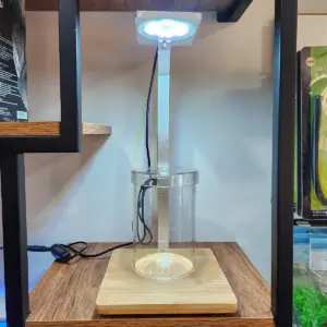 Luminária Led Ff-202 Multicor 12w Branca C/ Base 23x22cm