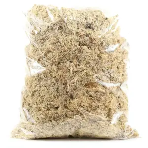 musgo desidratado 100g