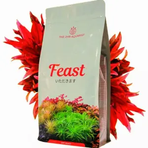 apt fesat 5l
